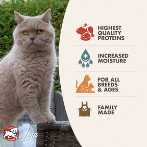 Fromm - Four Star Chicken, Duck & Salmon Pate Cat Can Food - Southern Agriculture 