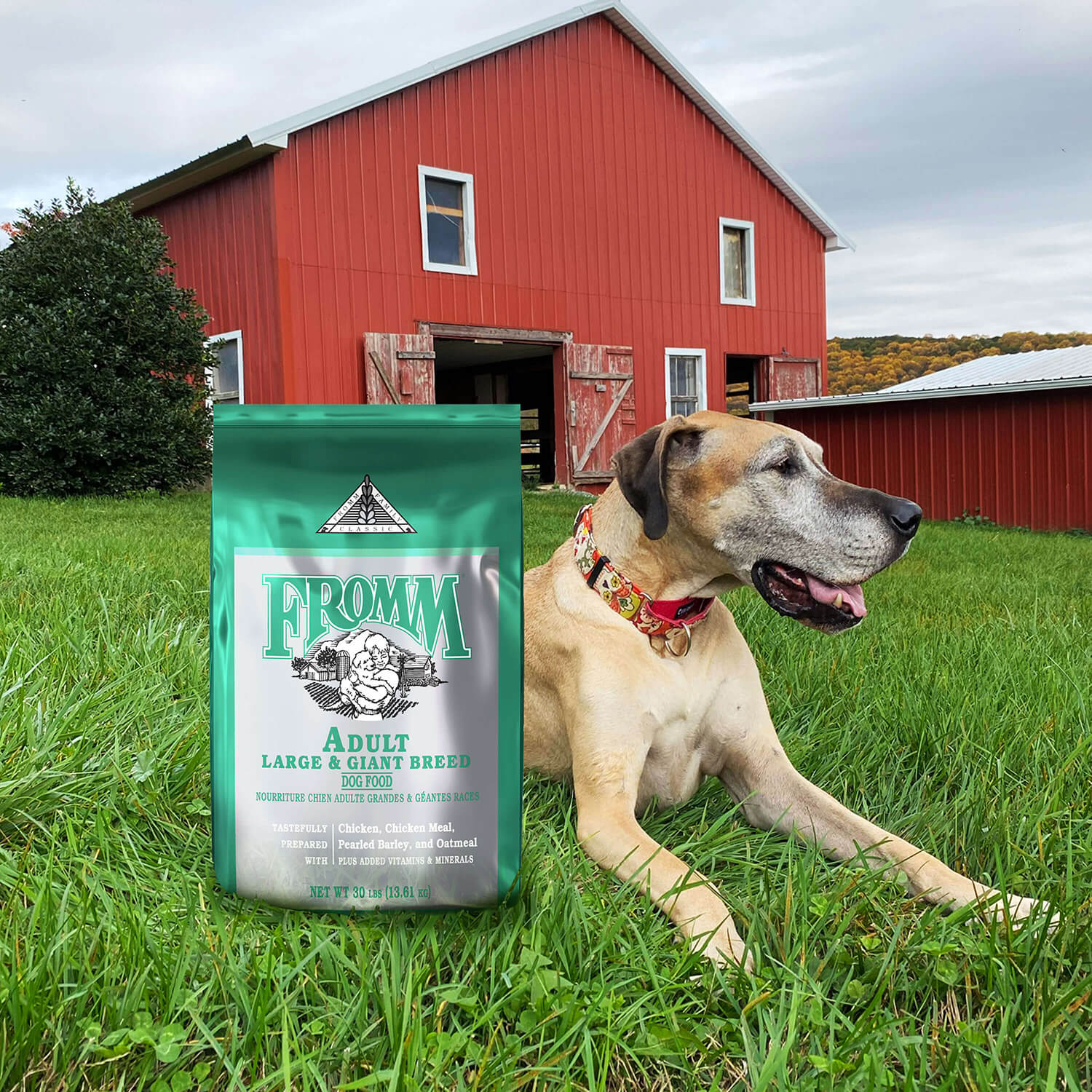 Fromm - Classic Adult Large & Giant Dog Food