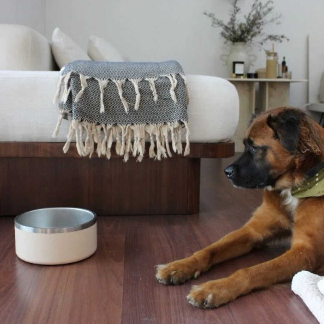 Tilley + Me - Stainless Steel Pet Food/Water Bowl - Dishwasher Safe