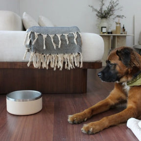 Tilley + Me - Stainless Steel Pet Food/Water Bowl - Dishwasher Safe