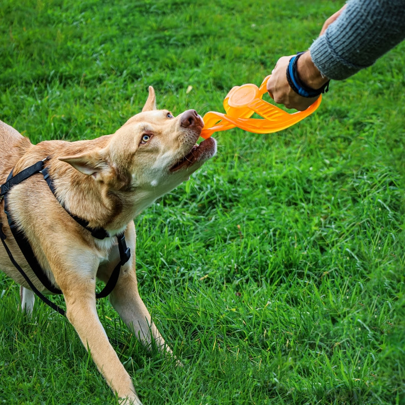 Bionic - FDA Food Toss-N-Tug