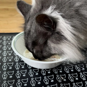 Travel Cat - Feeding Mat For Food & Water "The Nice & Tidy"