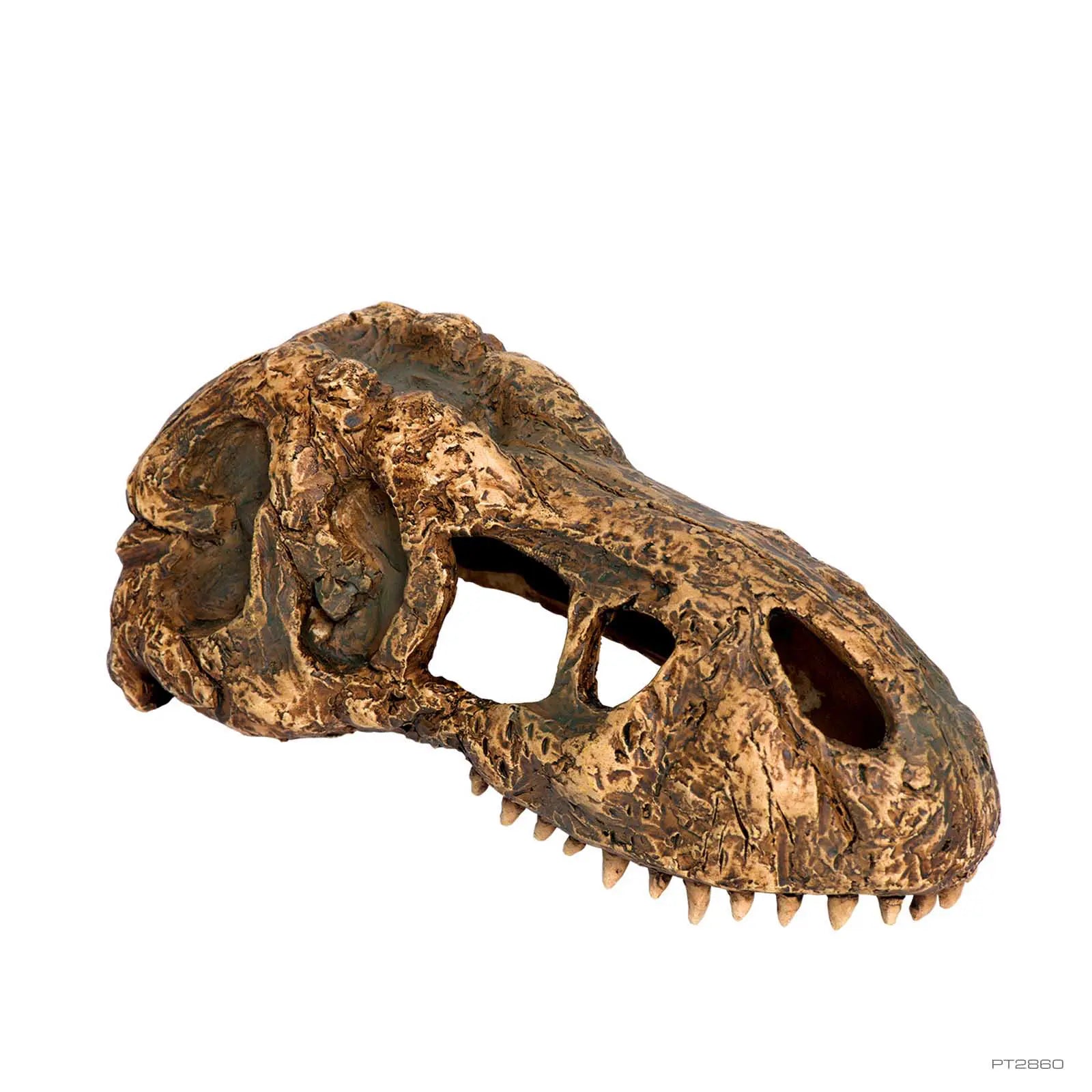 T-Rex Skull Terrarium Decor - Small