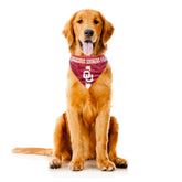 Little Earth Productions - Oklahoma Sooners Reversible Bandana for Dogs & Cats