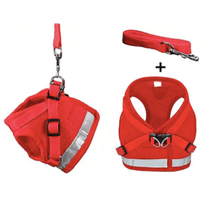 Travel Cat - Harness Reflective Cat/Kitten "The True Adventurer"