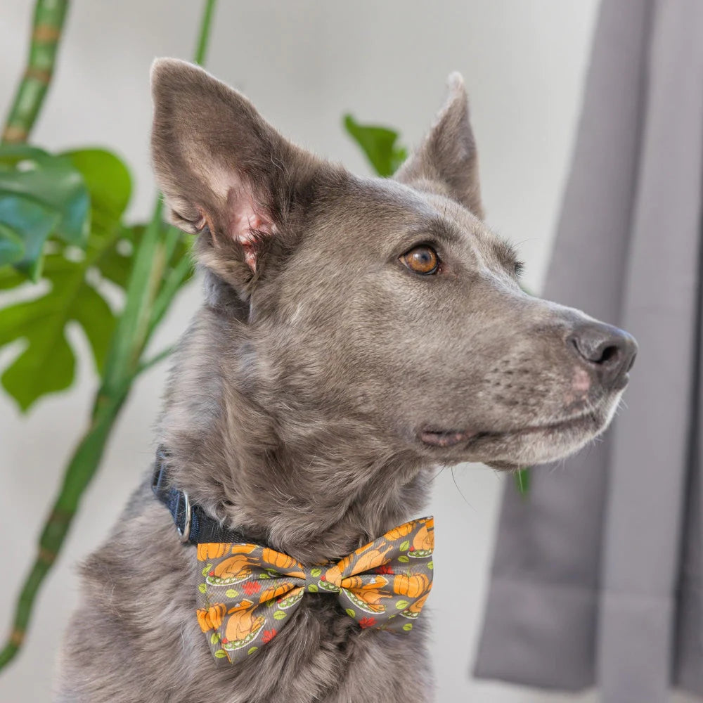Huxley & Kent - Bow Tie Turkey Dinner - Southern Agriculture 