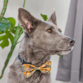 Huxley & Kent - Bow Tie Turkey Dinner - Southern Agriculture 