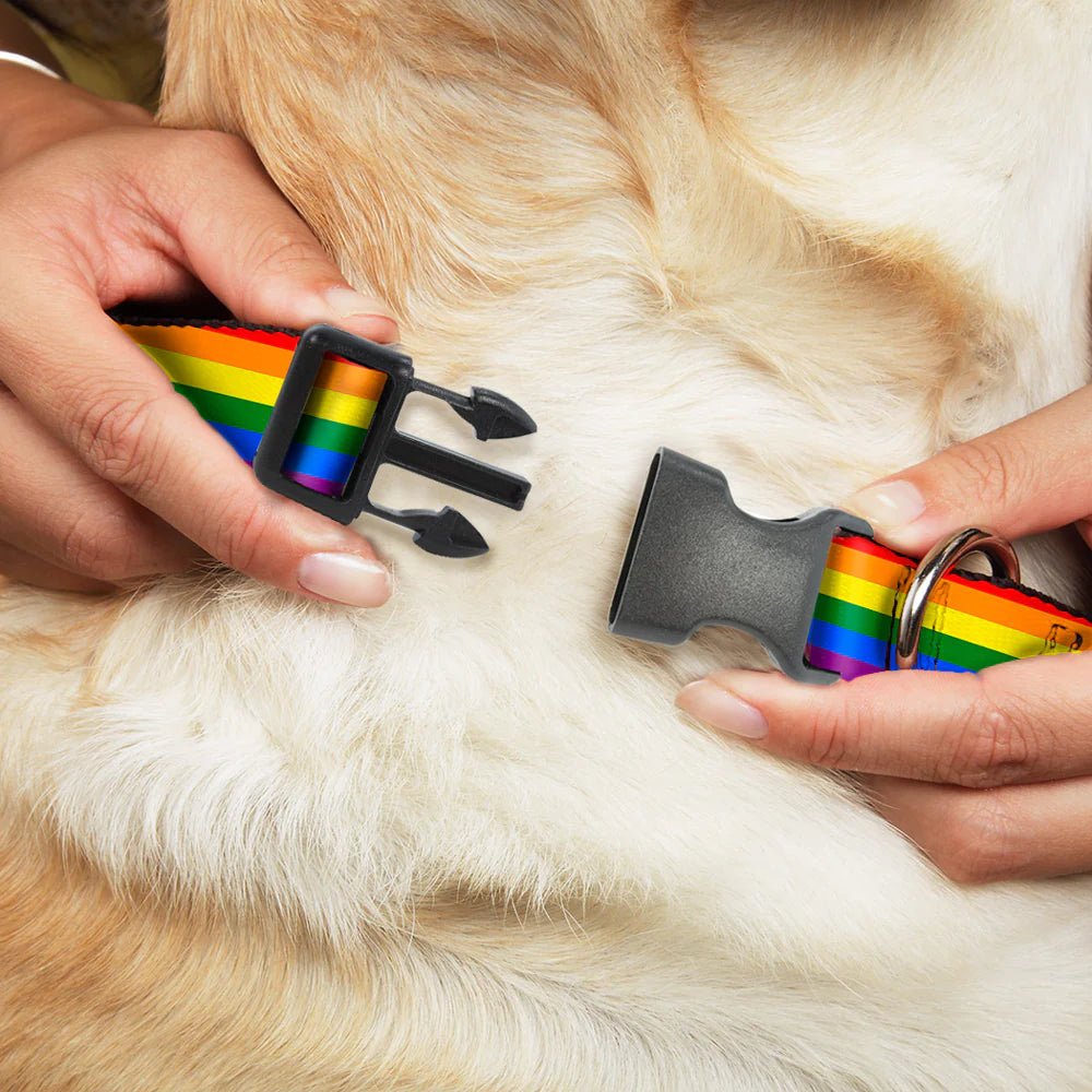Buckle Down - Collar Flag Pride Rainbow 1" Wide