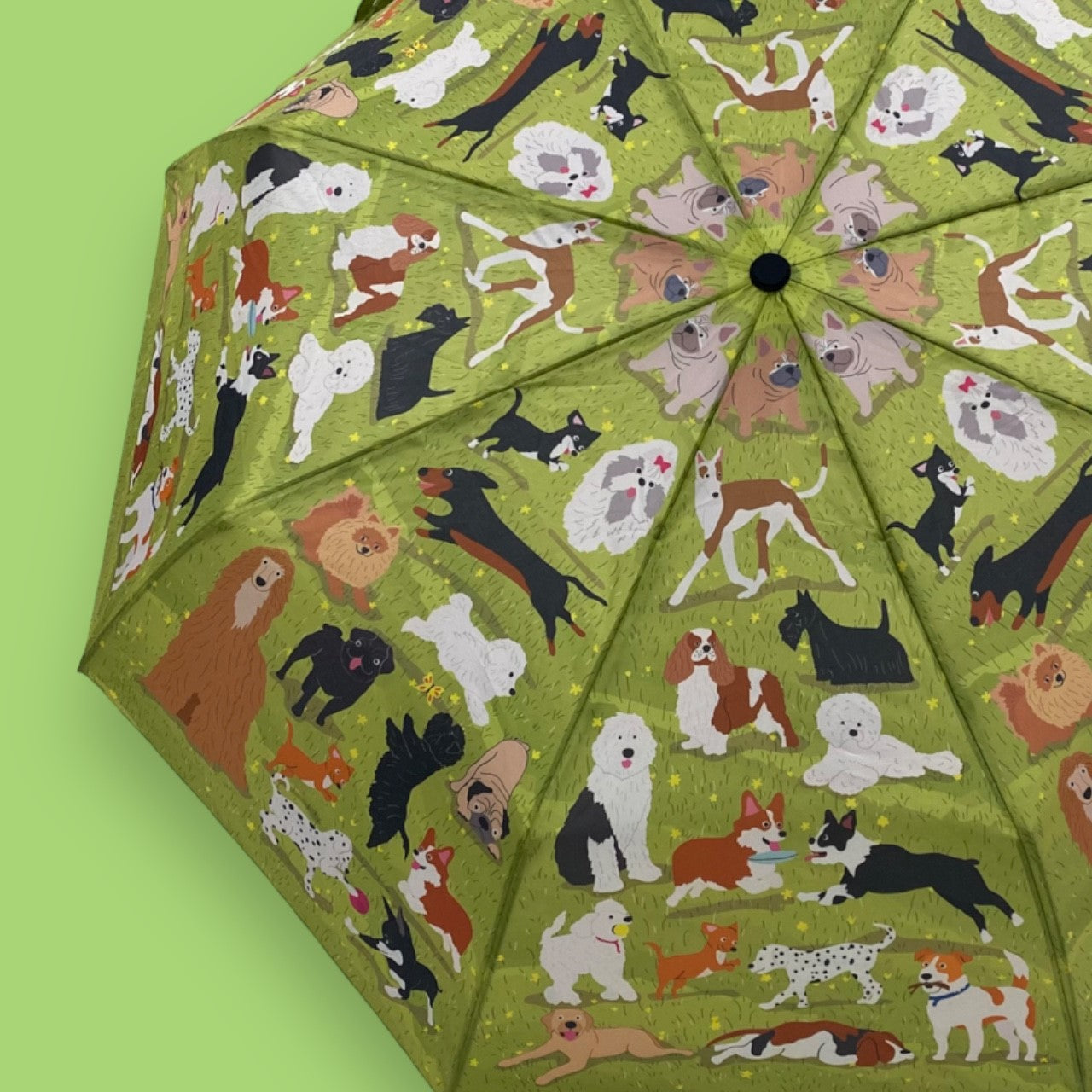 Naked Decor - Dog Park Umbrella
