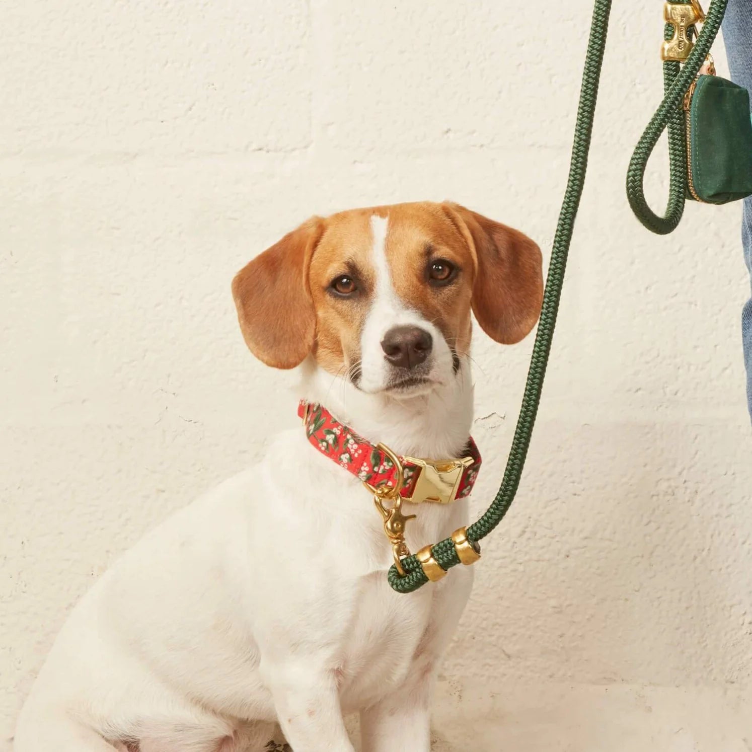 Foggy Dog - Dog Collar Rifle Paper Co X TFD Mistletoe - Southern Agriculture 
