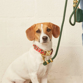 Foggy Dog - Dog Collar Rifle Paper Co X TFD Mistletoe - Southern Agriculture 