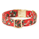 Foggy Dog - Dog Collar Rifle Paper Co X TFD Mistletoe - Southern Agriculture 