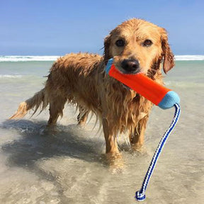 Petmate - Amphibious Bumper Dog Toy