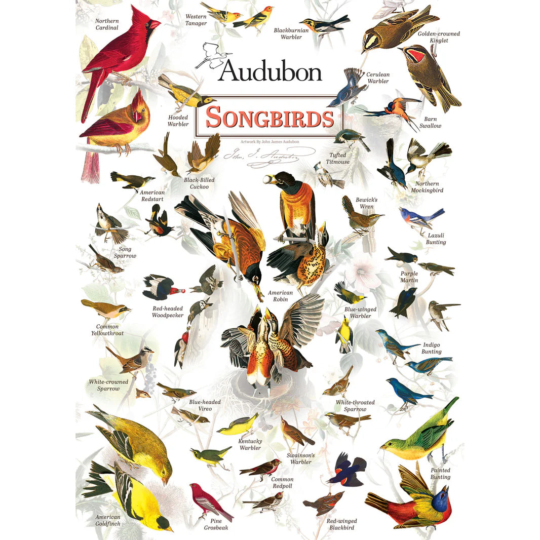 MasterPieces - Songbirds by Audubon - 1000 Piece Jigsaw Puzzle