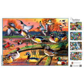 MasterPieces - Autumn Feathers by Audubon - 1000 Piece Jigsaw Puzzle