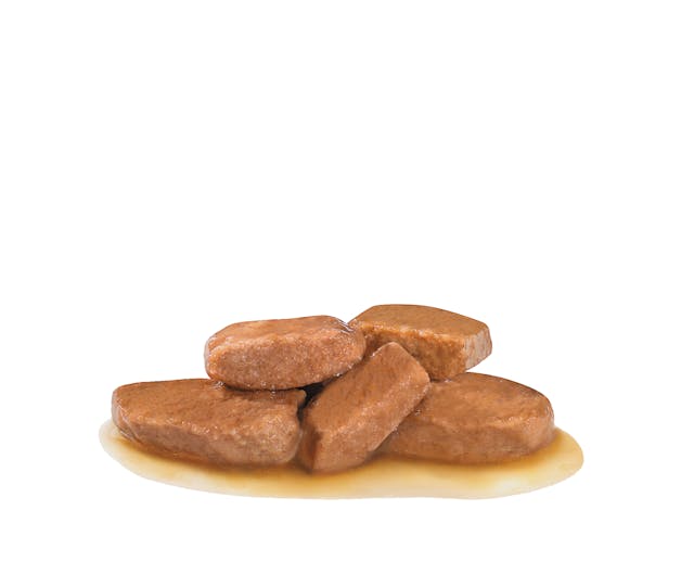 Royal Canin Veterinary Diet - Renal Support "D", "Delectable" Canned Dog Food - Southern Agriculture 