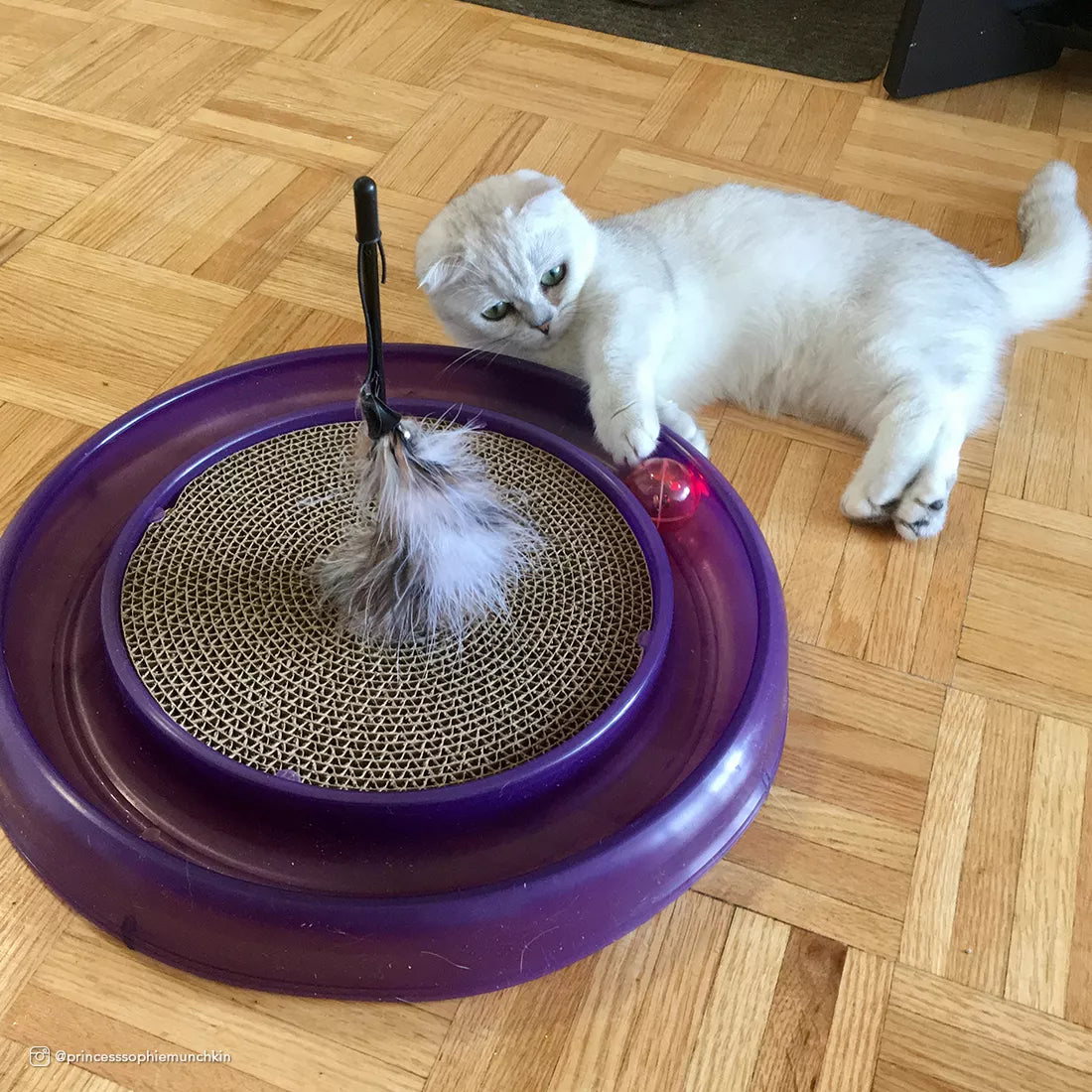 Bergan - Star Chaser Cat Toy - Replacement Ball