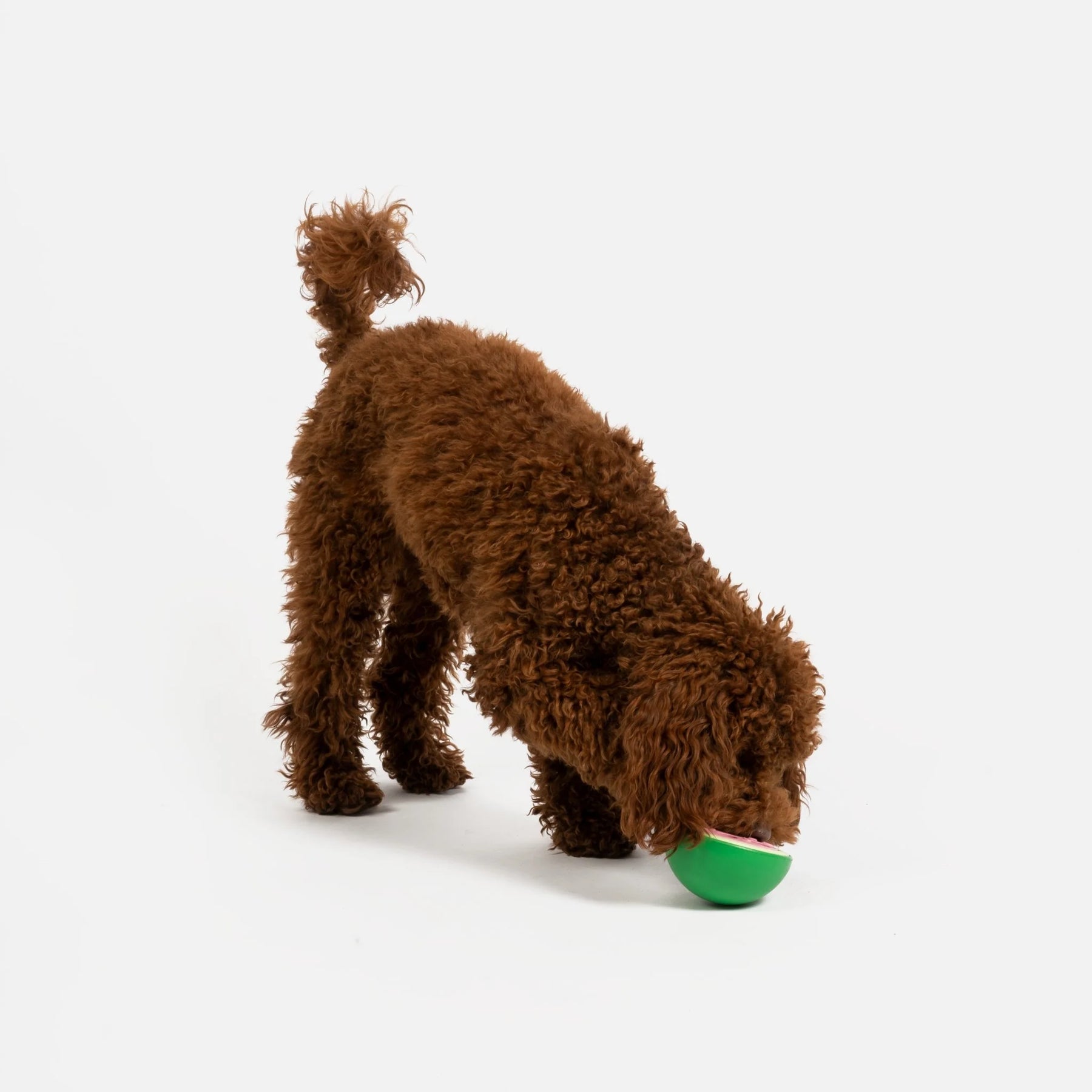 Silver Paw - Watermelon Dog Toy