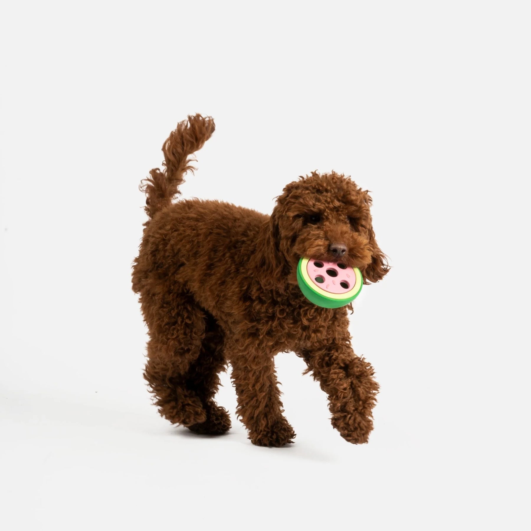 Silver Paw - Watermelon Dog Toy