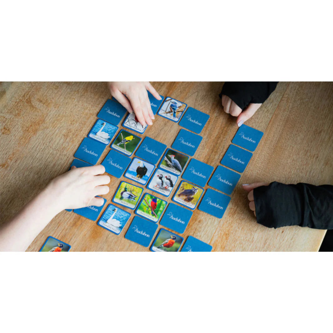 MasterPieces - Audubon - Bird Matching Game