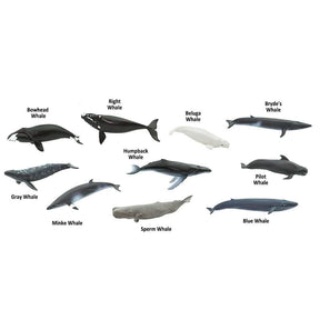 Safari Ltd - Toob Whales
