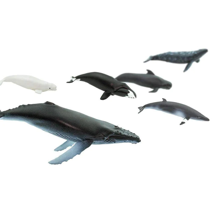 Safari Ltd - Toob Whales