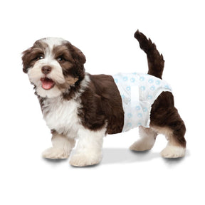 Four Paws - Wee-Wee Disposable Dog Diapers