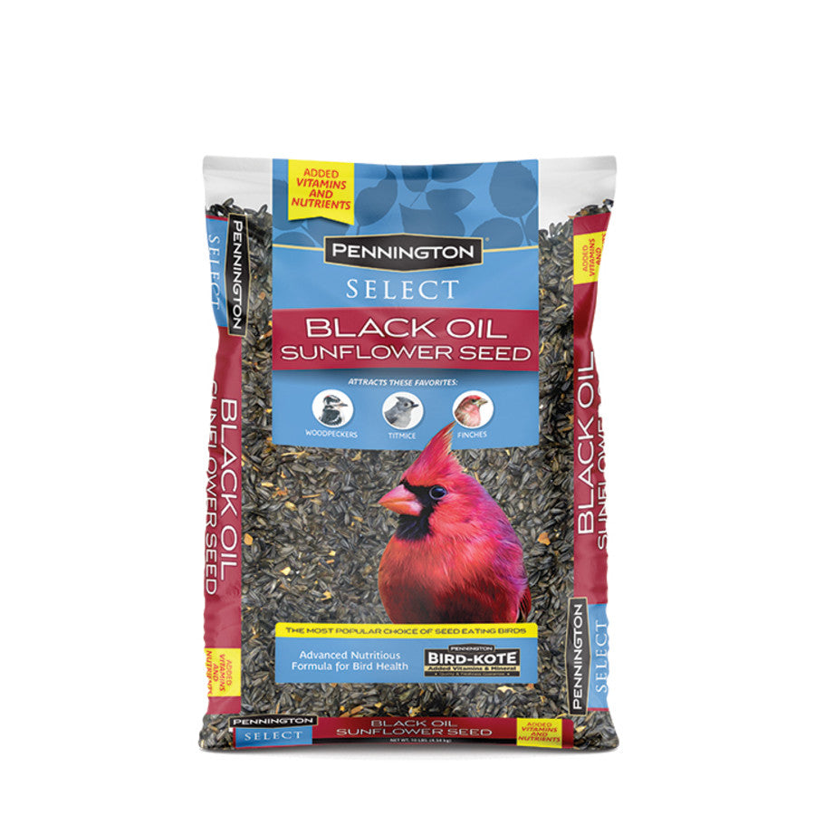 Pennington - Black Oil Sunflower Seed - Southern Agriculture 