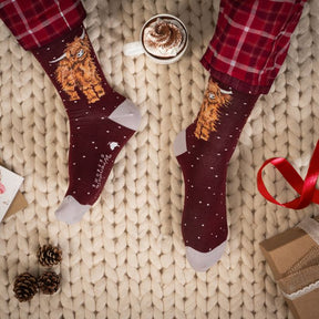 Wrendale Designs- Sock Highland Cow Men's Christmas "A Highland Christmas"