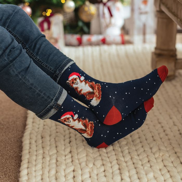 Wrendale Designs- Sock Christmas Festive Fox