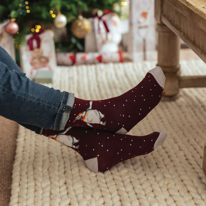 Wrendale Designs- Sock Penguin Christmas King