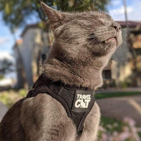 Travel Cat - Harness Reflective Cat/Kitten "The True Adventurer"