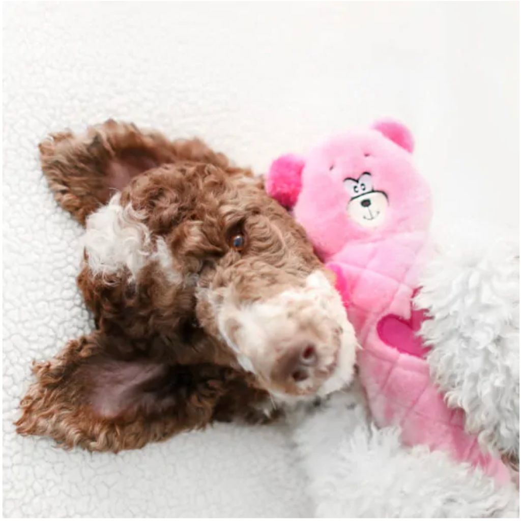 ZippyPaws - Valentine's Jigglerz Pink Bear Plush - Southern Agriculture 