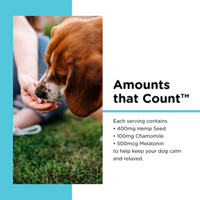 Nutri-Vet - Hemp Calming Soft Chews - Southern Agriculture 
