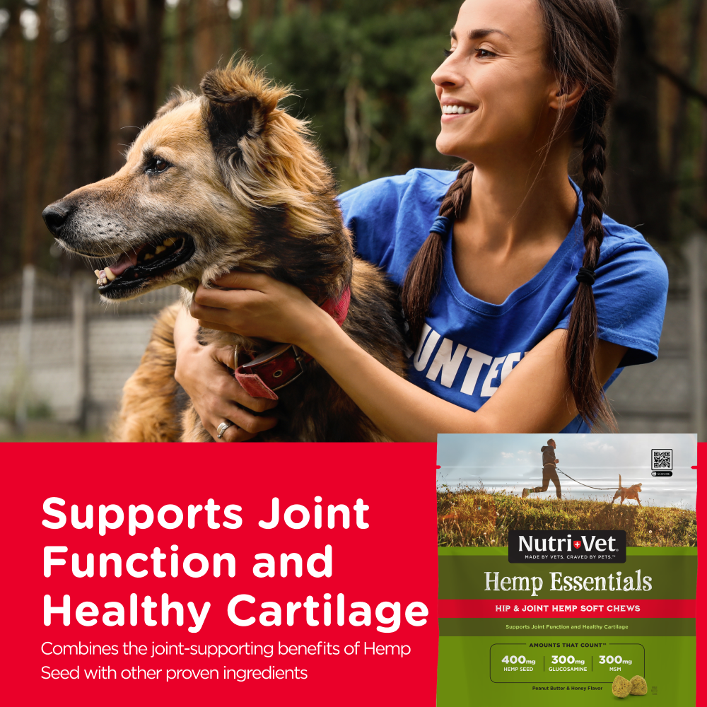 Nutri-Vet - Hemp Hip & Joint Soft Chews - Southern Agriculture 
