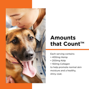 Nutri-Vet - Hemp Skin & Coat Soft Chews - Southern Agriculture 