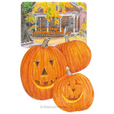 Pumpkin Jack O'Lantern Seeds - Southern Agriculture 