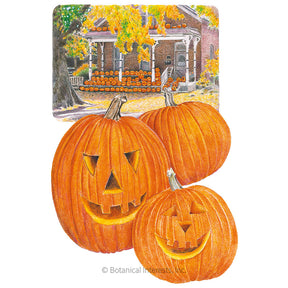 Pumpkin Jack O'Lantern Seeds - Southern Agriculture 