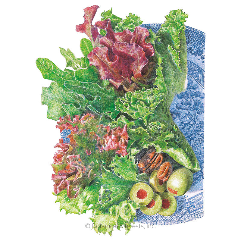 Botanical Interests, Inc. - Lettuce Mesclun Farmer's Market Blend Seed - Southern Agriculture 