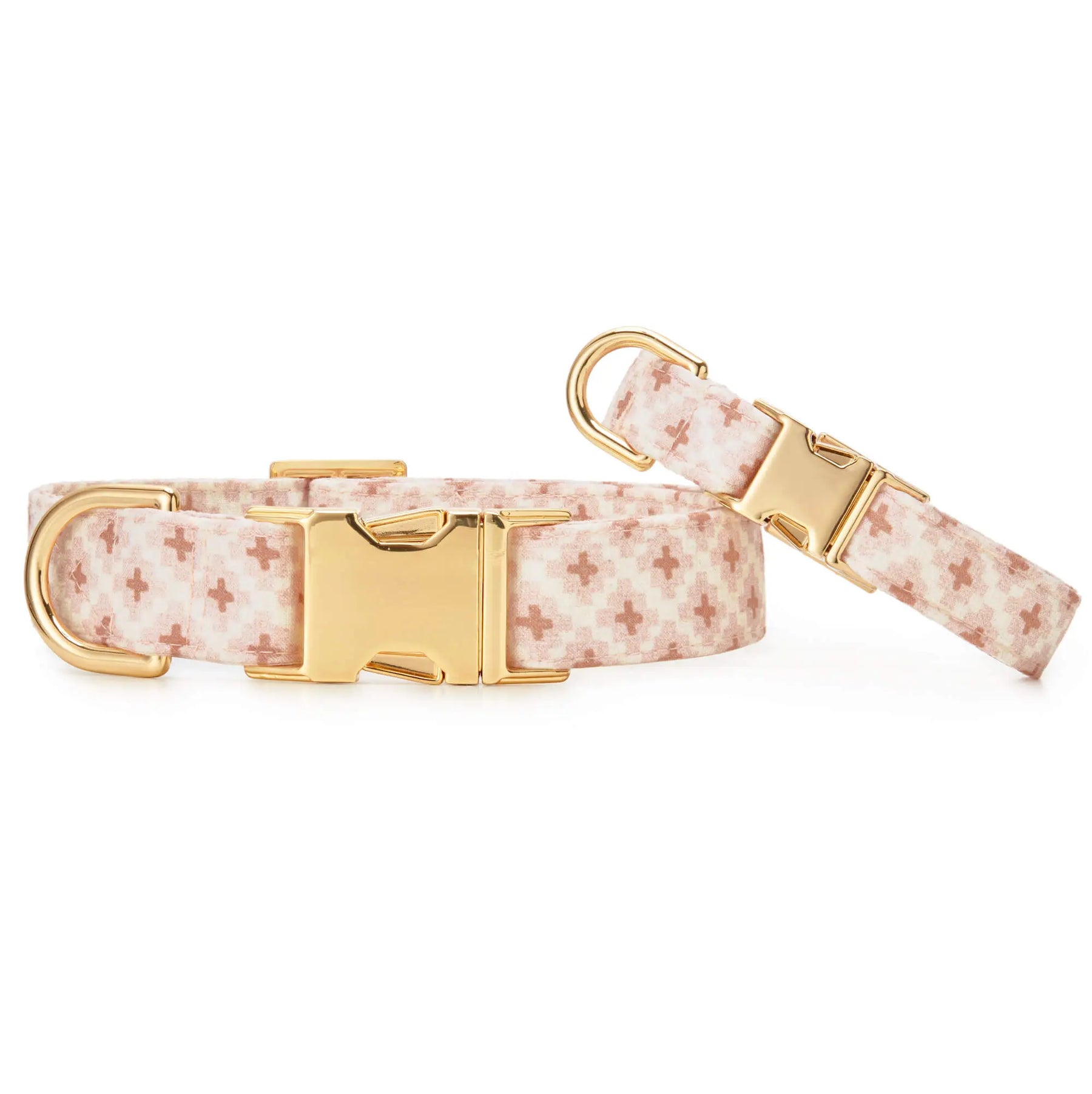 The Foggy Dog - Dog Collar Terra