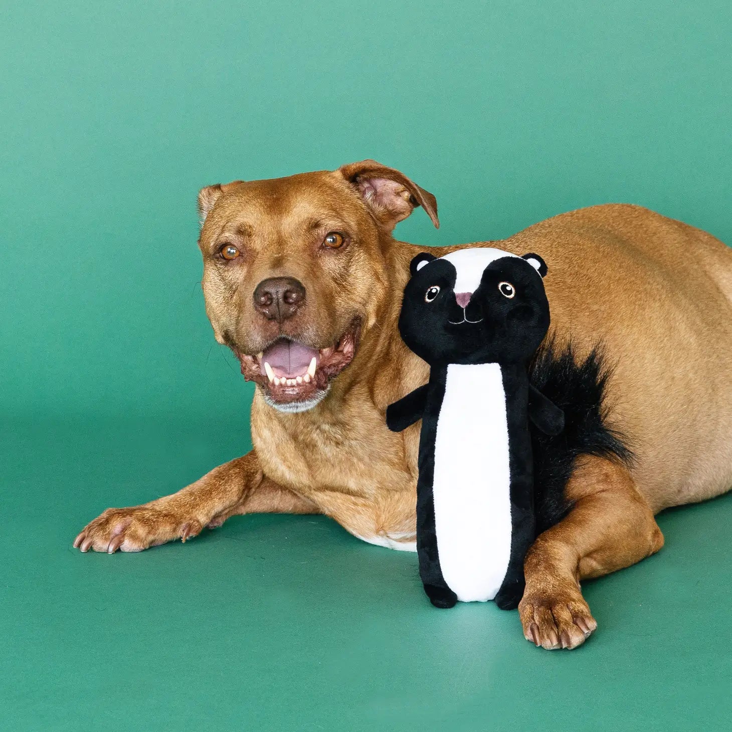 Wagsdale - Stinkin' Cute Plush Dog Toy