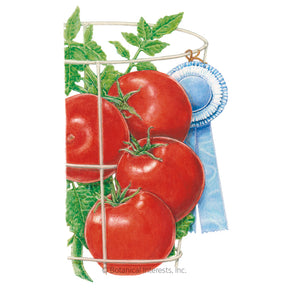 Tomato Bush Red Pride Hybrid Seeds - Southern Agriculture 