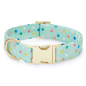 The Foggy Dog - Dog Collar Confetti