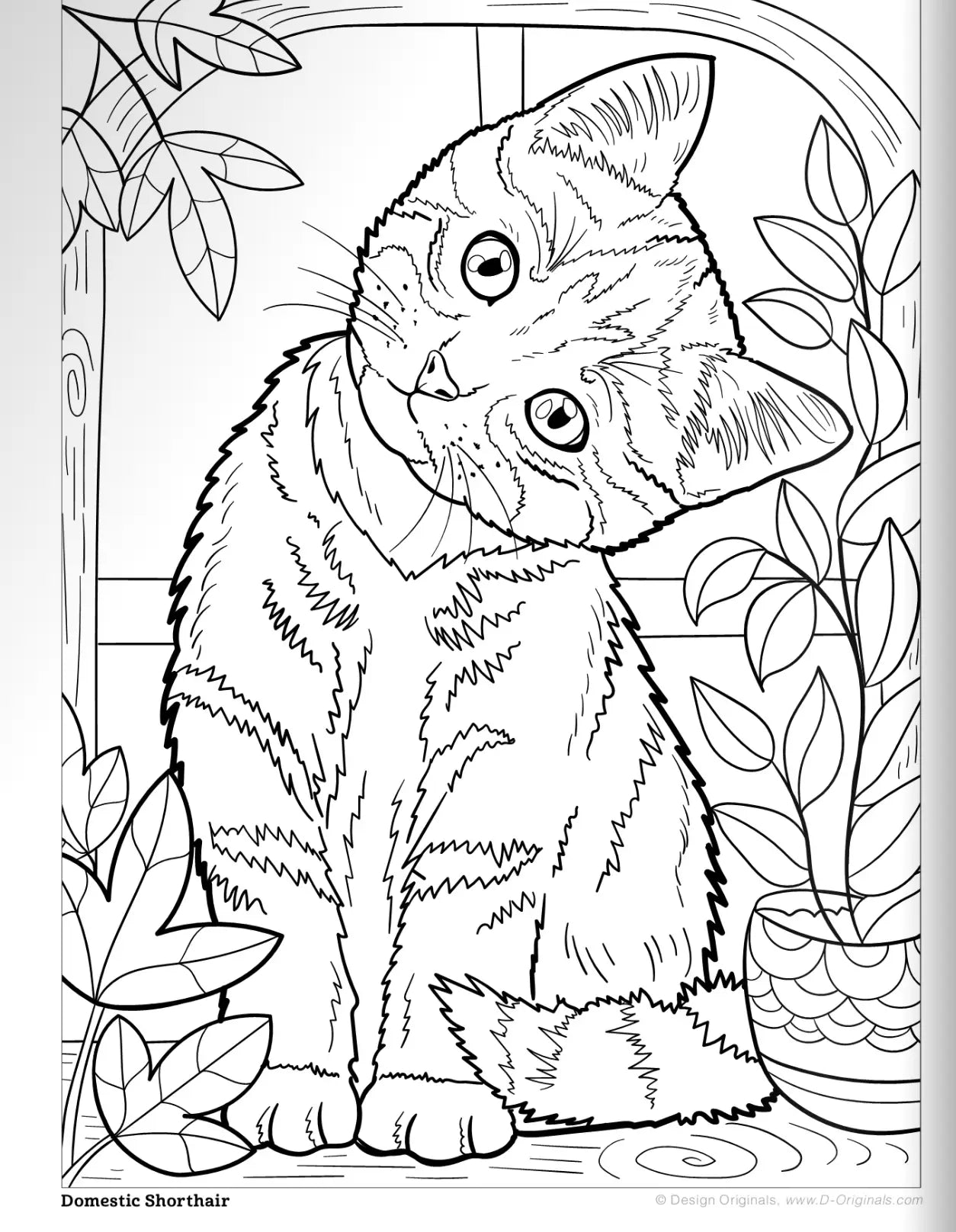 Wellspring- Coloring Book - Cats & Kittens