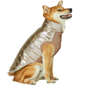 Blueberry Pet - Gold | Dog Puffer Jacket