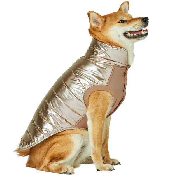 Blueberry Pet - Gold | Dog Puffer Jacket