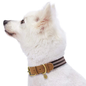 Blueberry Pet - Chocolate and Taupe | Full Grain Leather & Polyester Dog Collar