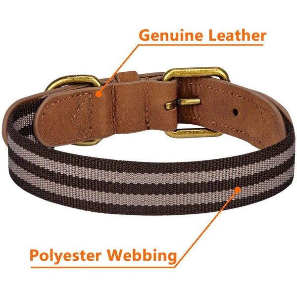 Blueberry Pet - Chocolate and Taupe | Full Grain Leather & Polyester Dog Collar