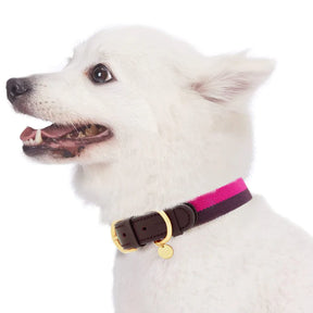 Blueberry Pet - Hot Pink & Purple | Full Grain Leather & Polyester Dog Collar