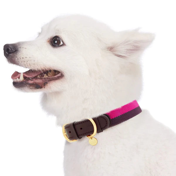 Blueberry Pet - Hot Pink & Purple | Full Grain Leather & Polyester Dog Collar